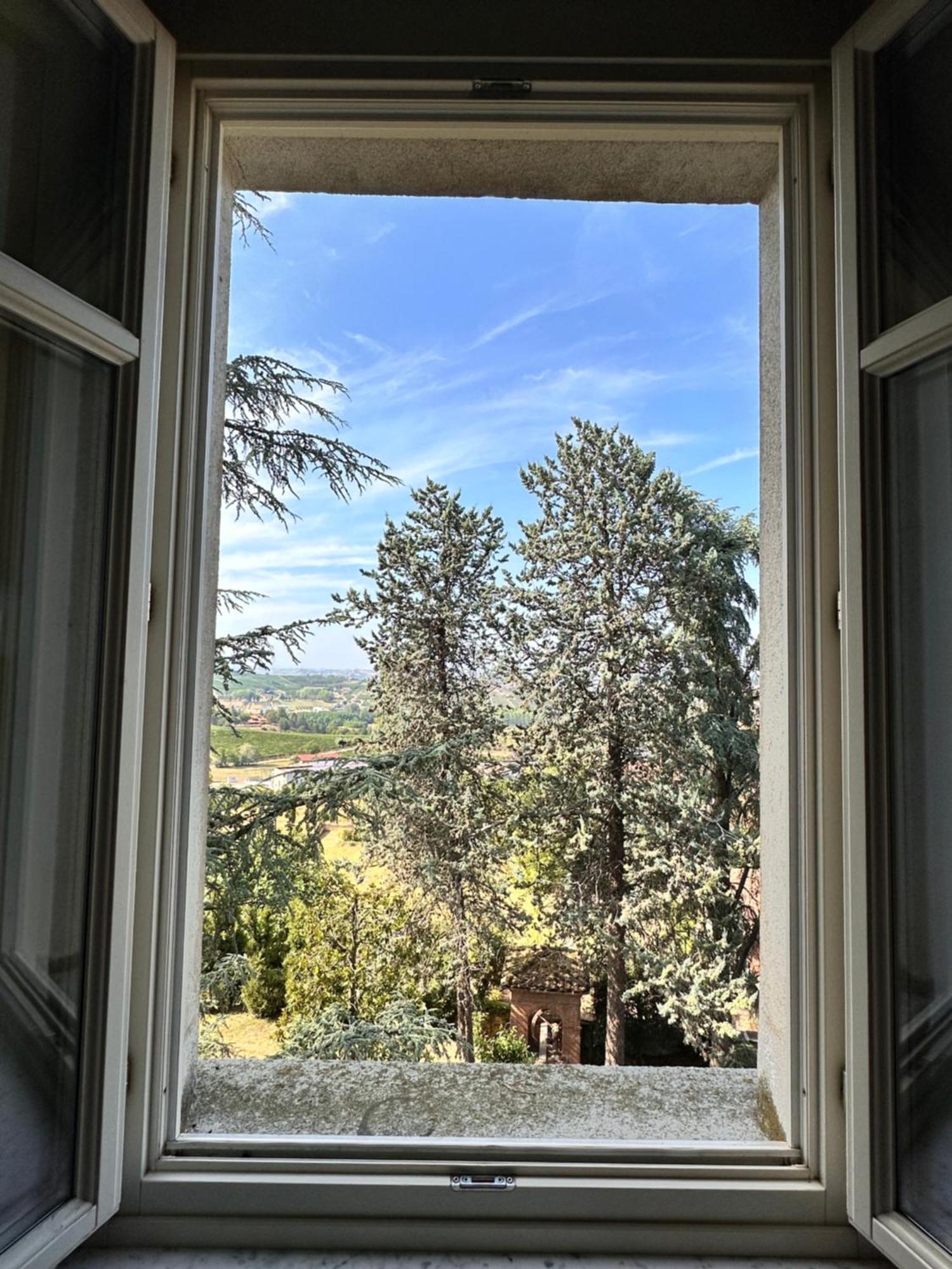 ネイヴェ Castello Di Coazzolo Bed & Breakfast エクステリア 写真