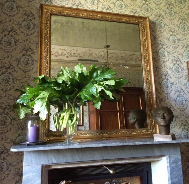 ネイヴェ Castello Di Coazzolo Bed & Breakfast エクステリア 写真